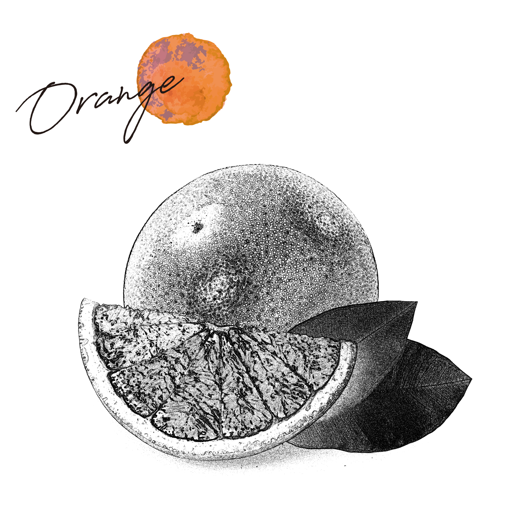 ブラッドオレンジ
